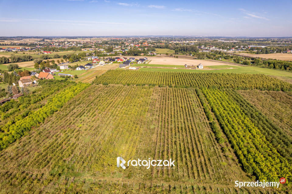 Ogłoszenie działka 1000m2 Kolnik Dwie Topole