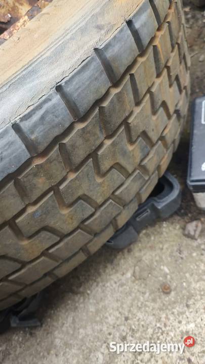 Koło felga opona Bridgstone M729 24570 195 Iveco wielkopolskie Książ Wielkopolski
