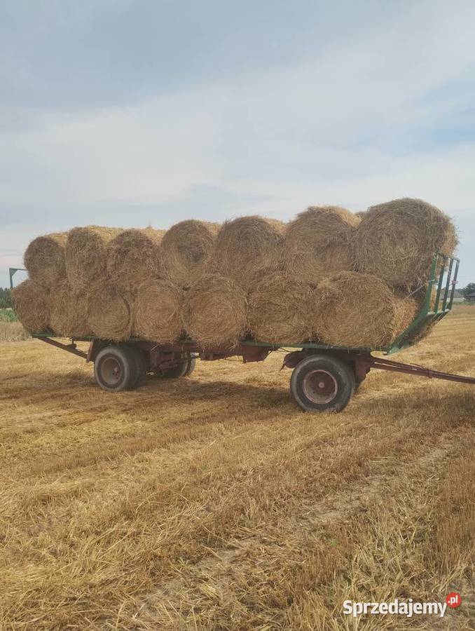 Przyczepa do bel lubelskie Kock