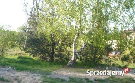 Do Działka Mława Brzozowa