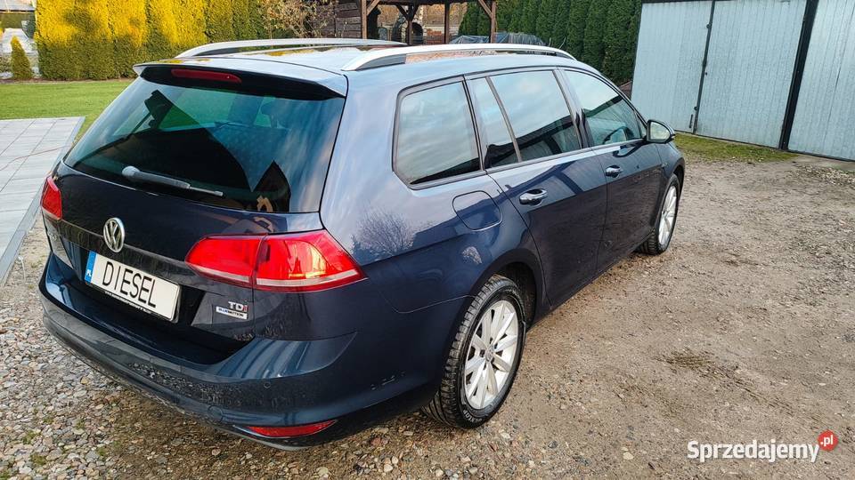 Volkswagen Golf 7 lounge 16 TDI 2016 nieuszkodzony