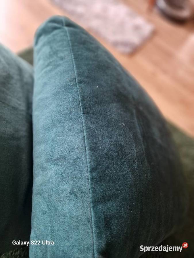 Kanapa butelkowa zielen Osowa Sień