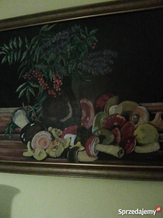 obraz Kleosin sprzedam