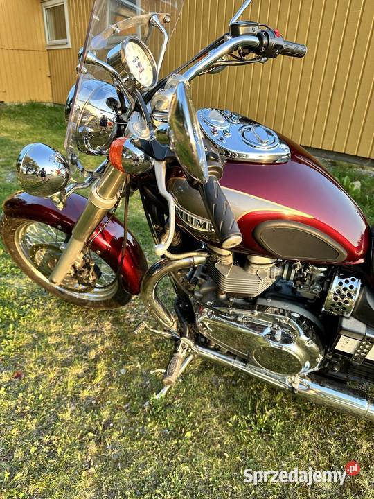 Triumph America Włodawa