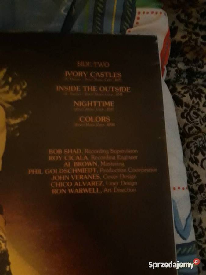 TED NUGENT Amb The Amboy Dukes płyta winylowa Rzeszów