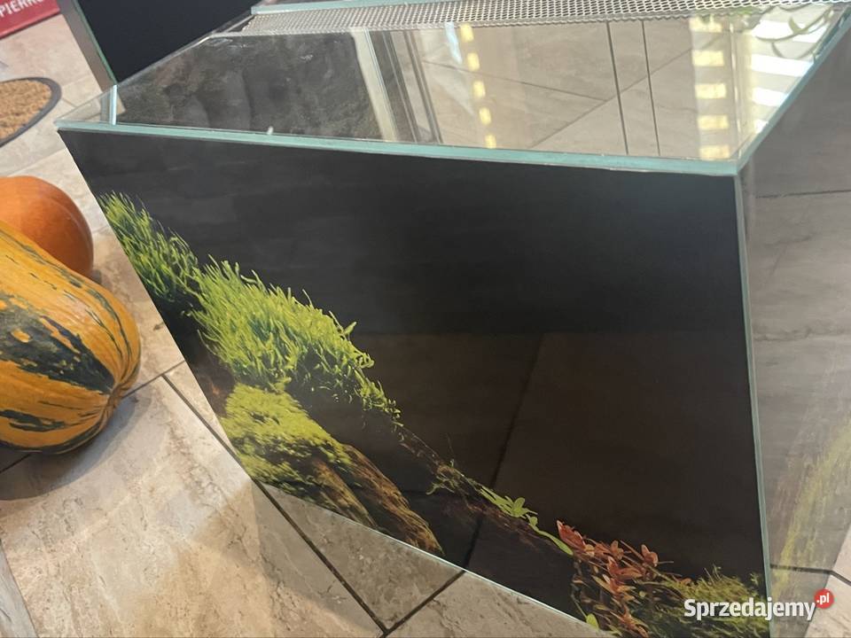 Terrarium 403030 Terrarystyka sprzedam