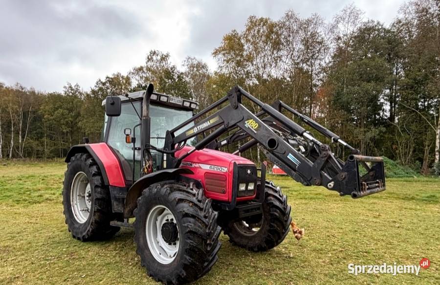Ciągnik rolniczy Massey Ferguson 6290 Ciągniki Kijany