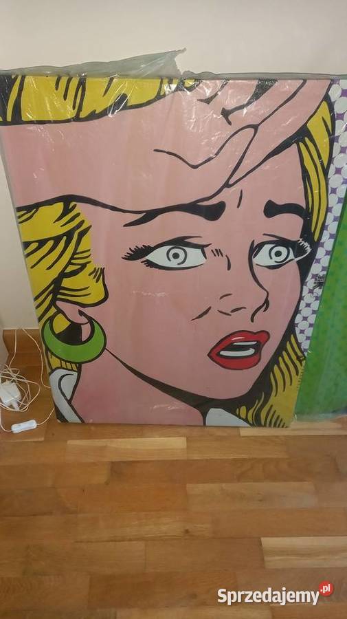 Obrazy komiksowe 60x80 Kórnik