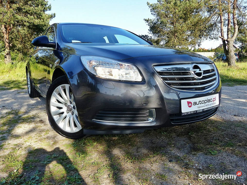 Opel Insignia 16 kurtyny powietrzne wielkopolskie Piła