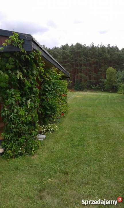 Działka z domkiem jeziorem Kuligowo