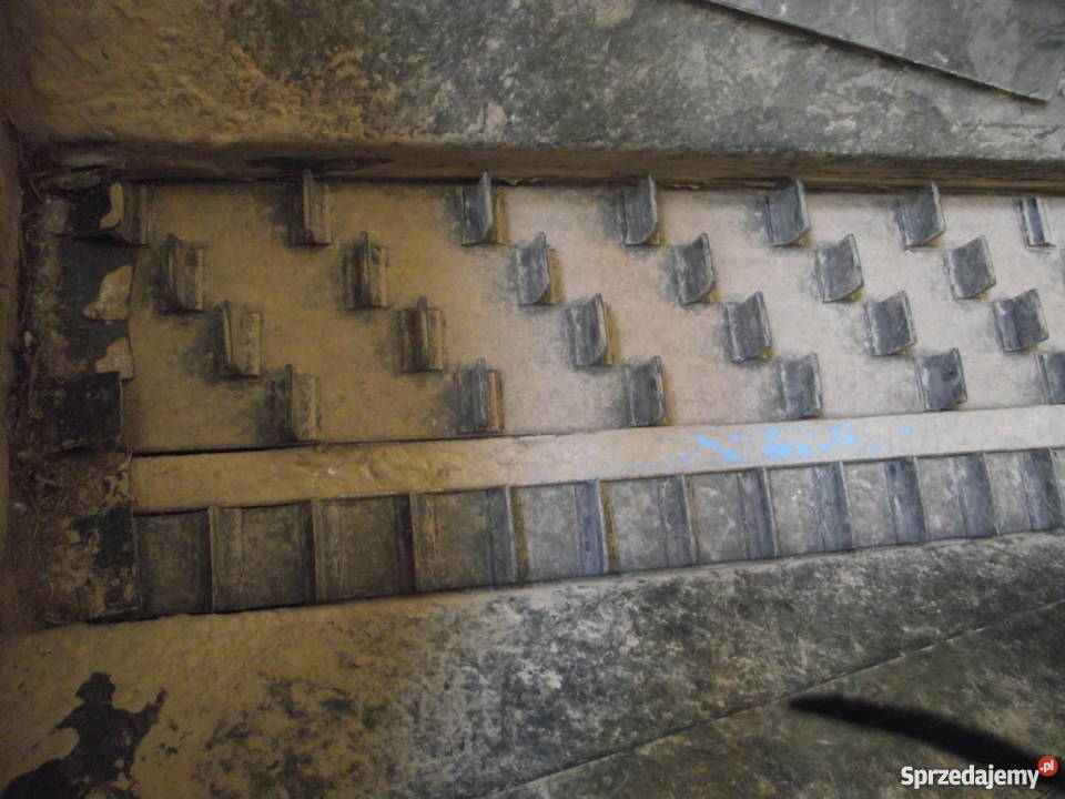 Linia sortująco pakująca sortownik do ziemiaków Borów-Kolonia