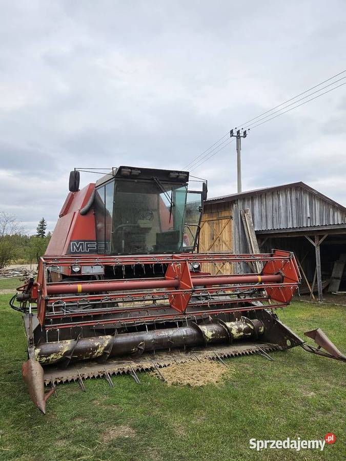 Massey Ferguson 29 6cyl Perkins Sieczkarnia-rozdrabniacz Zbożowe Osieck