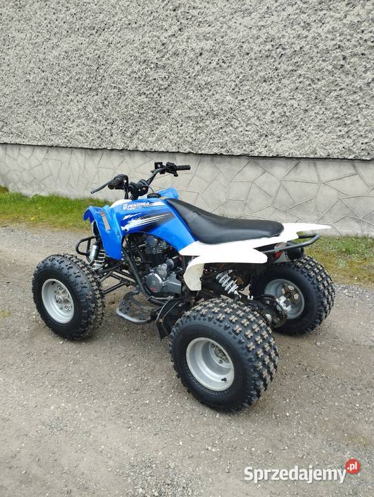 Quad atv Pentora 250 Yamaha raptor 250 kopia Pozostałe Knurów