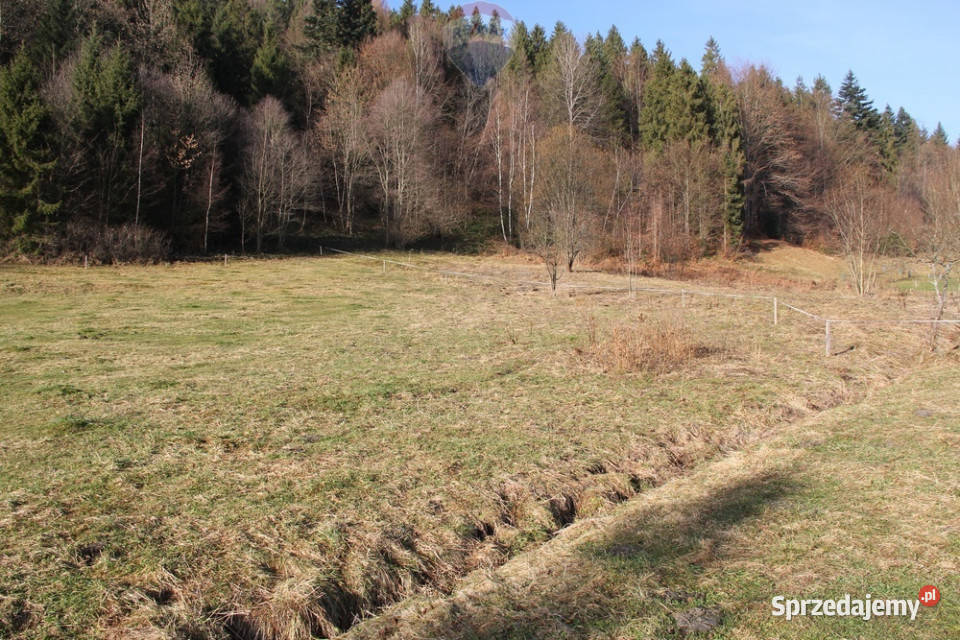 Działka budowlano rolna w miejscowości Grywałd Sprzedaż sprzedam