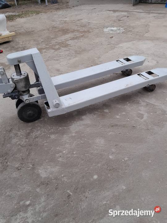 Paleciak kujawsko-pomorskie