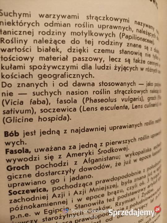 Fasola i groch pierwsze wydanie książki Warszawa sprzedam
