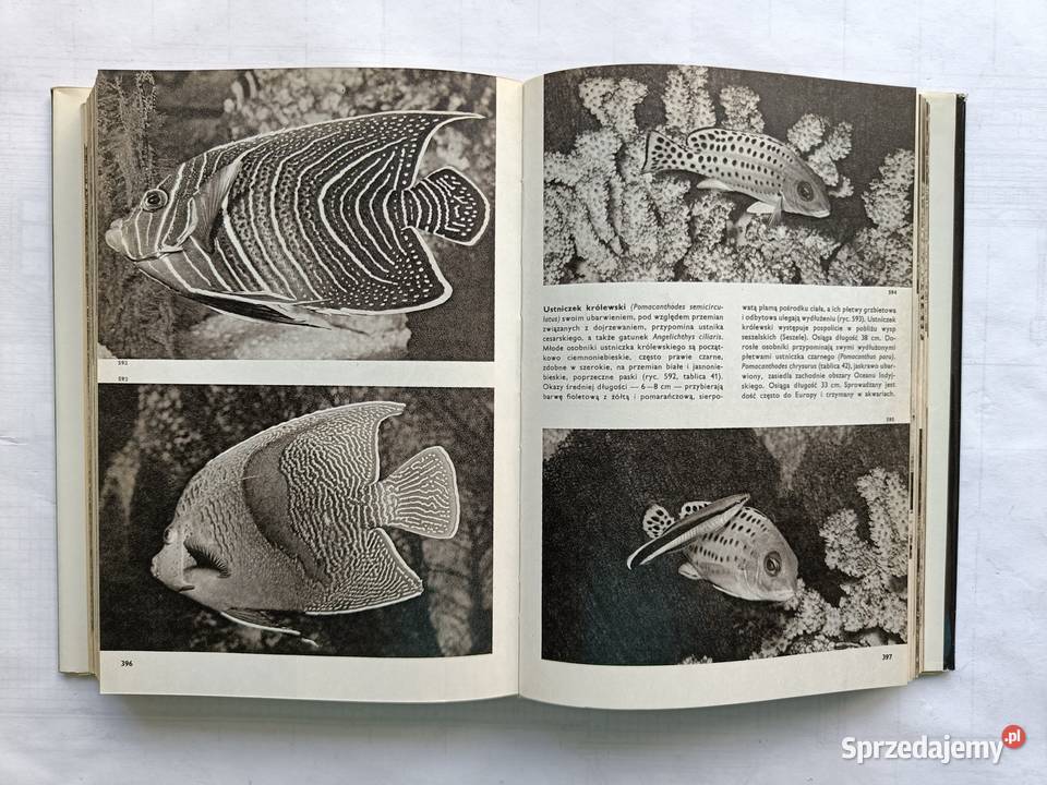 Wielki Atlas Zwierząt Ptaków Ryb Roślin i Owadów biologia, ekologia pomorskie Gdynia