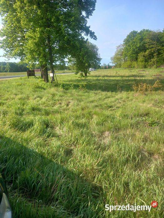 Działka budowlana Nawojów Łużycki sprzedam