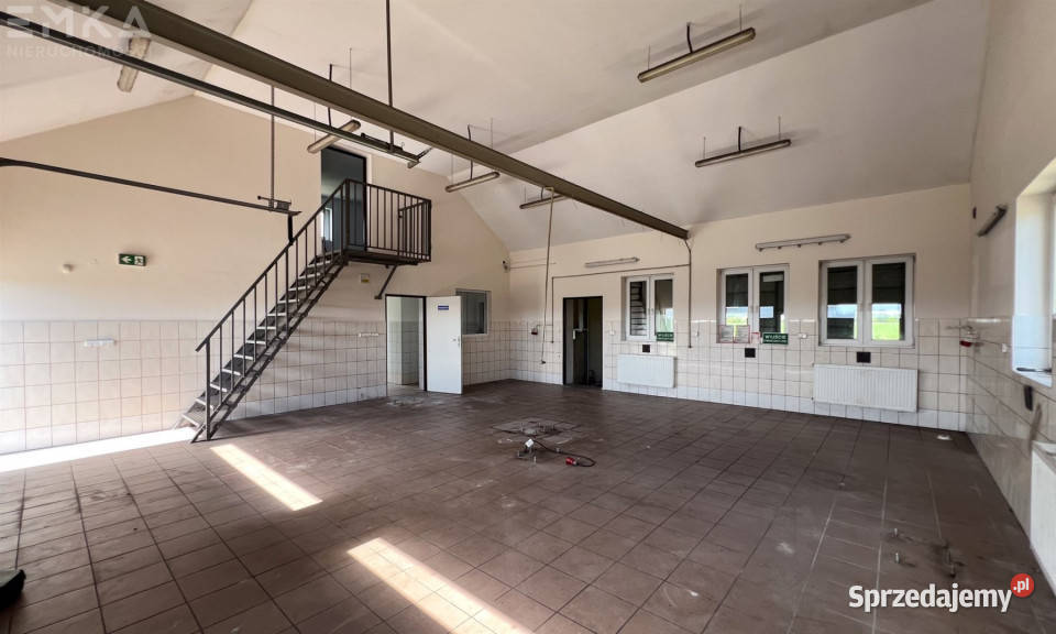 Lokal 197m2 Łubianka Bp A Szelążka kujawsko-pomorskie