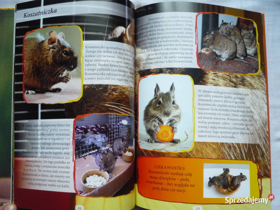 NOWA Zwierzęta moje hobby Album Poradnik Książka Szczecin