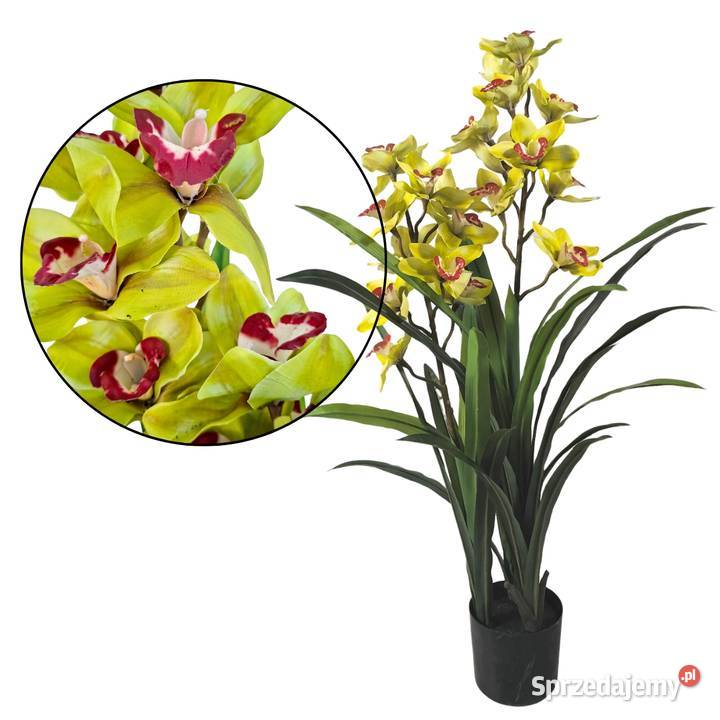 Storczyk sztuczny Cymbidium w doniczce 105