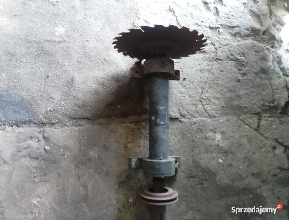 Wałek Trajzegi z Piłą DUŻY Rychtal