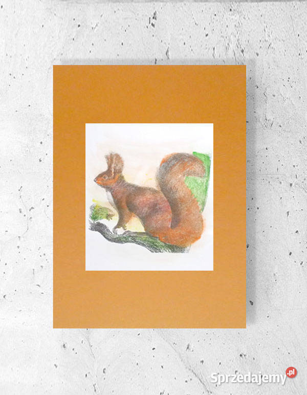 rudy plakat a3 wiewiórka plakat na ścianę retro świętokrzyskie