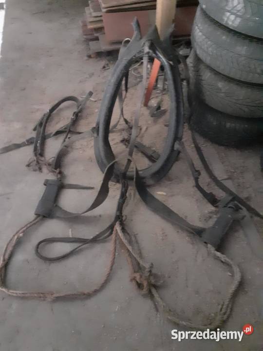 Uprzaz konia Stary Gózd