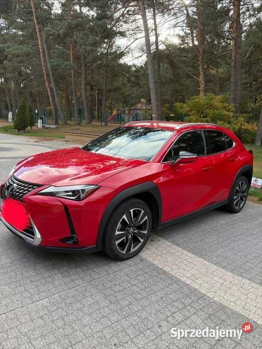 Lexus UX200 Buisness 1Właściciel Salon Polska Pogorzelica