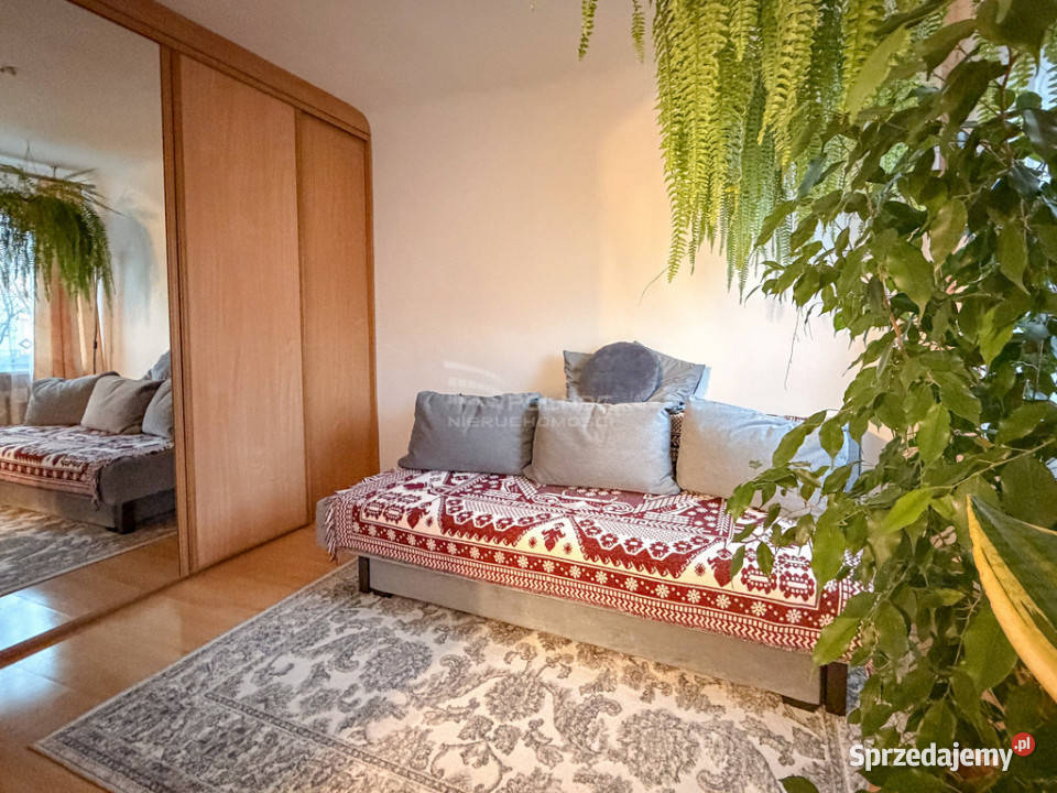 M3 al AWP w Chełmie 493m2 remoncie spółdzielcze własnościowe