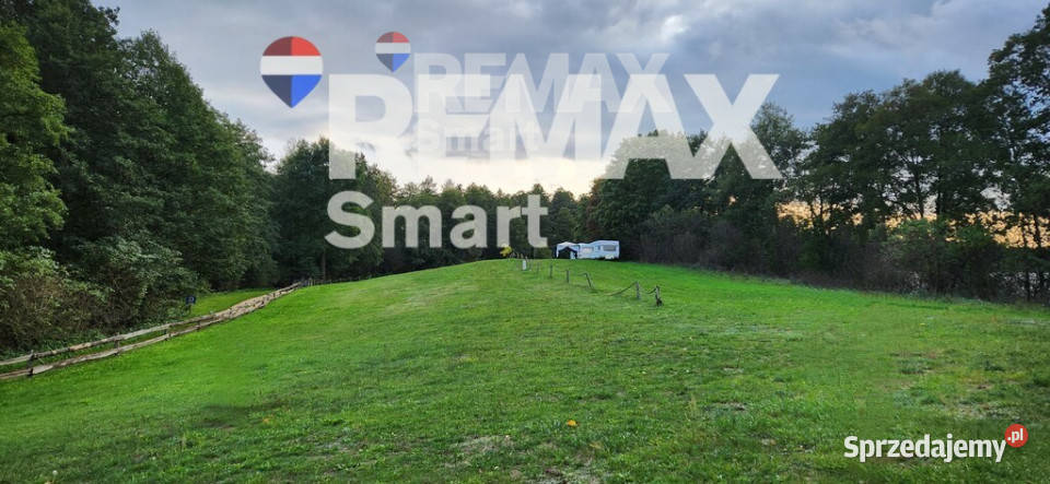 Działka budowlana z linią brzegową Skolity 3075m2 warmińsko-mazurskie sprzedam