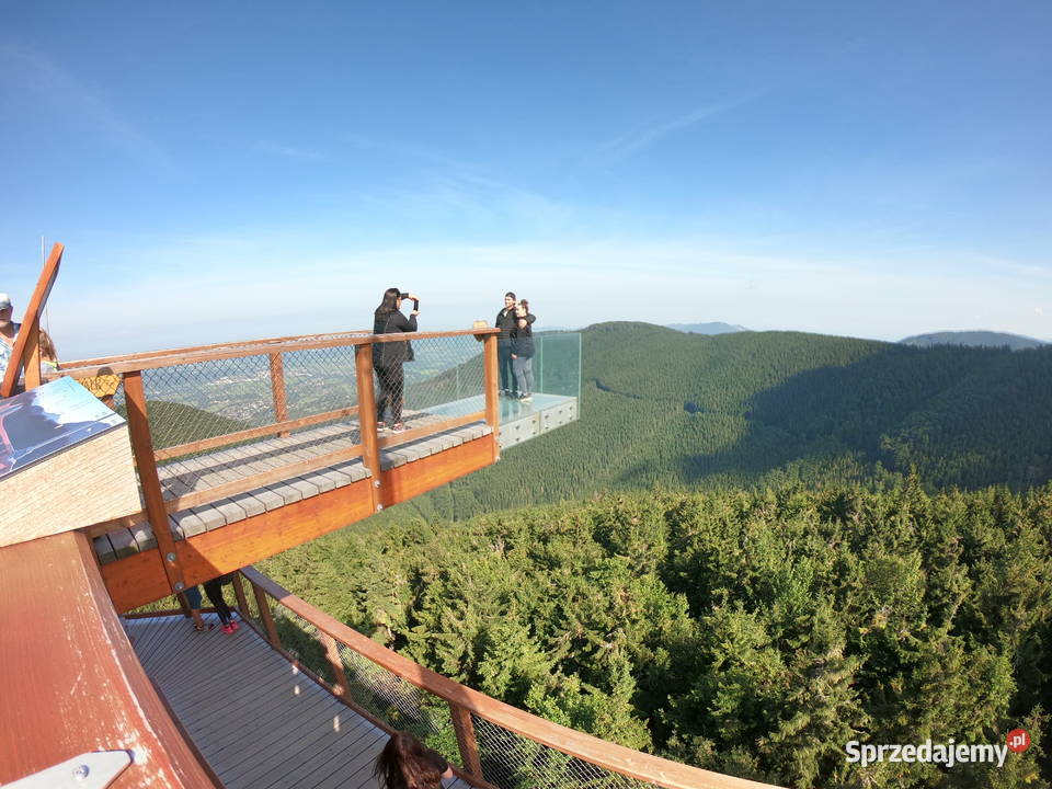 Lato 2021 wczasy i wycieczki aktualne oferty śląskie Chorzów