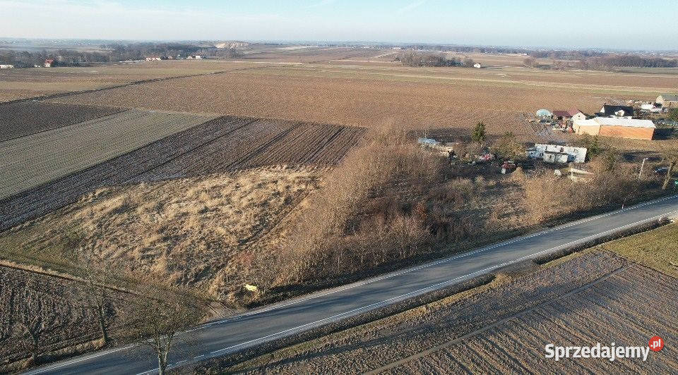 Ogłoszenie działka 5390m2 Raczków