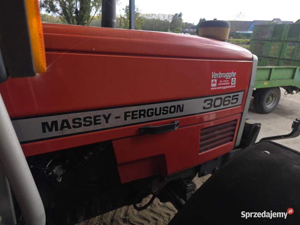 Massey Ferguson 3065 Wólka Ratajska