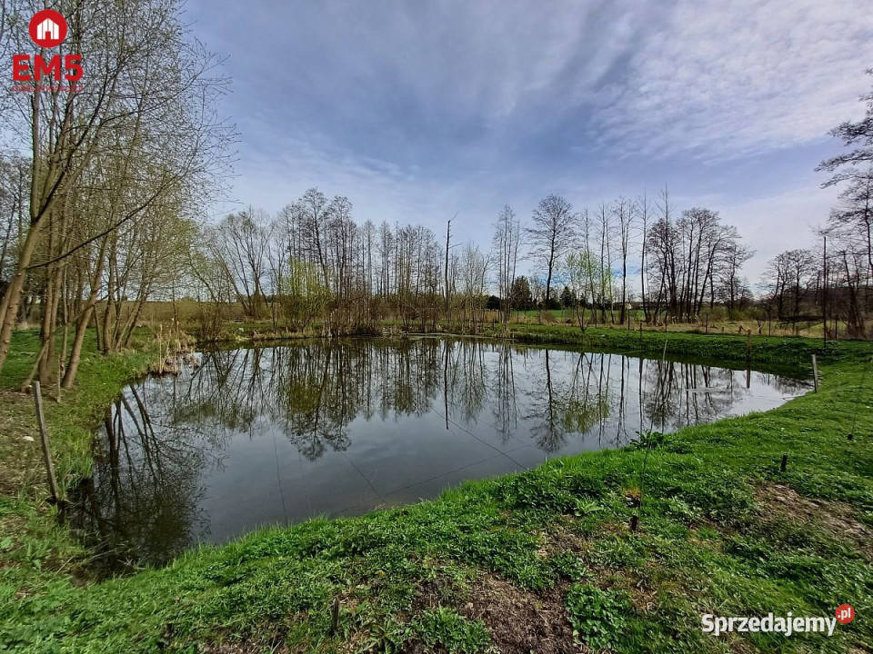sprzedaży domu wolnostojącego Klepacze 9300m2 mieszkalny Sprzedaż Sprzedaż