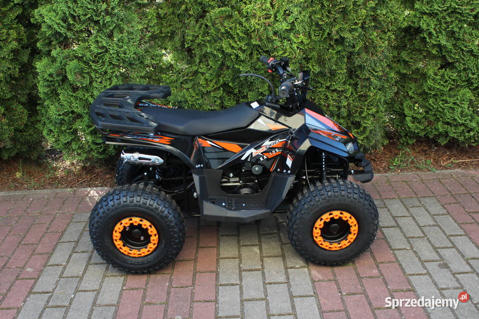 Quad 110 AUTOMAT wsteczny rozrusznik pilot raty Goleniów