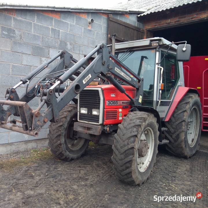 Massey Ferguson 3065 z ładowaczem Danowiec
