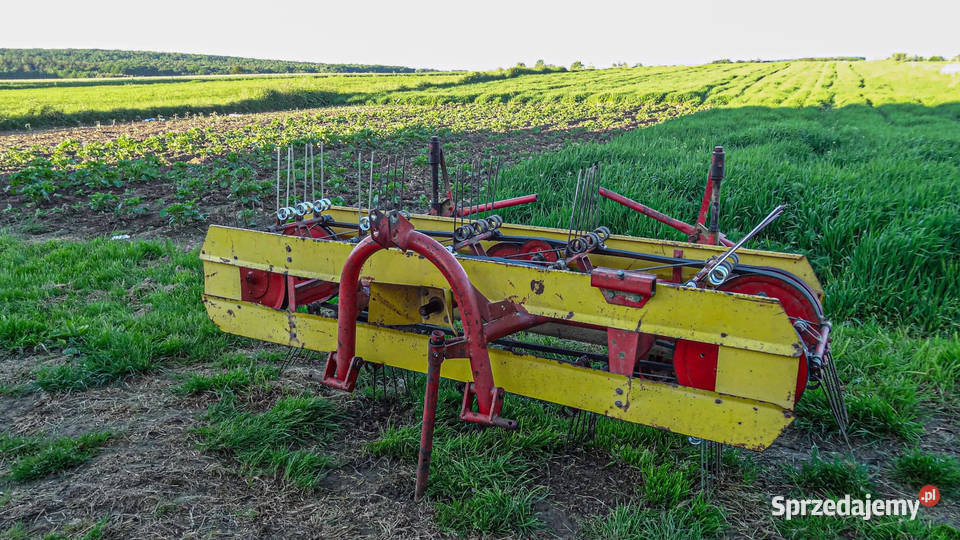 Przetrząsarka Taśmowa Lechia Z 266 Oryginał nieuszkodzony Baćkowice
