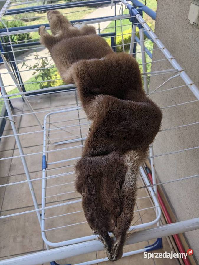 czapka futrzana futro naturalne lis piżmak TANIO Warszawa