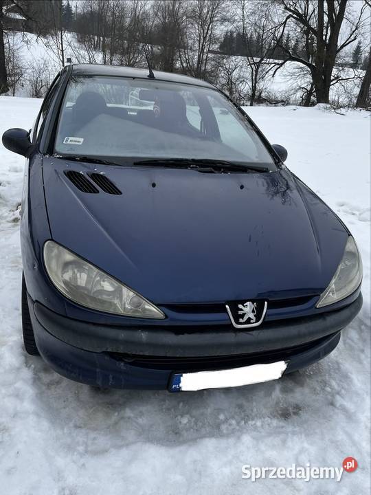 Peugeot 206 2002 r ważne opłaty 206
