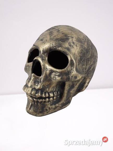 Figura Dekoracja Czaszka Pozostałe Julianów Raducki