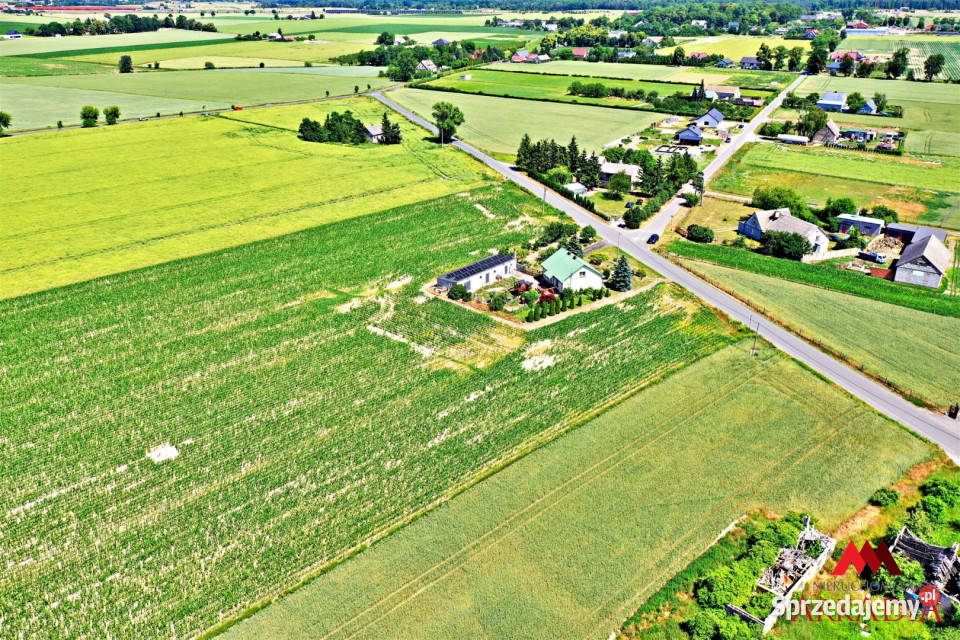 Działka Brzezie 6121m2 34zł/m2 Sprzedaż