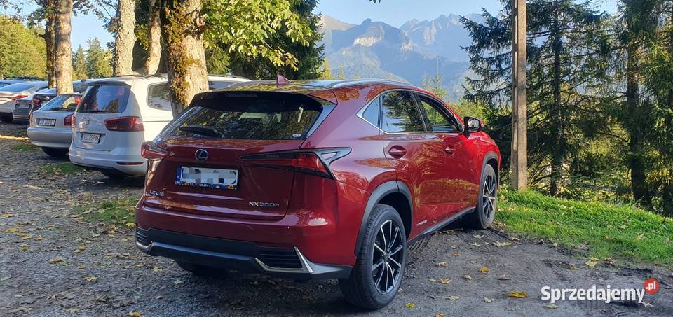 Piękny LEX PoLIFT Hybryda Gwarancja ASO 2500cm3 Samochody osobowe Nowy Sącz