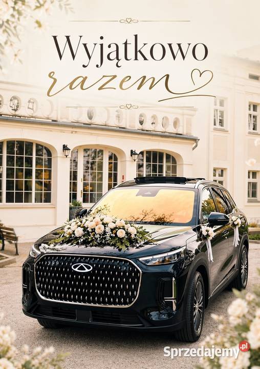 Jednodniowe wyjazdy samochody na popularne place Taxi i przewozy osobowe Poznań