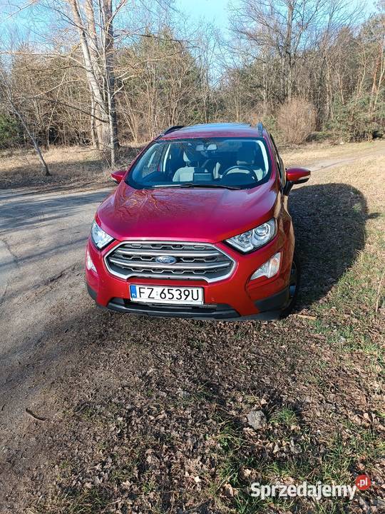 Ford Ecosport 10 125 Automat mały przebie EcoSport lubuskie Zielona Góra
