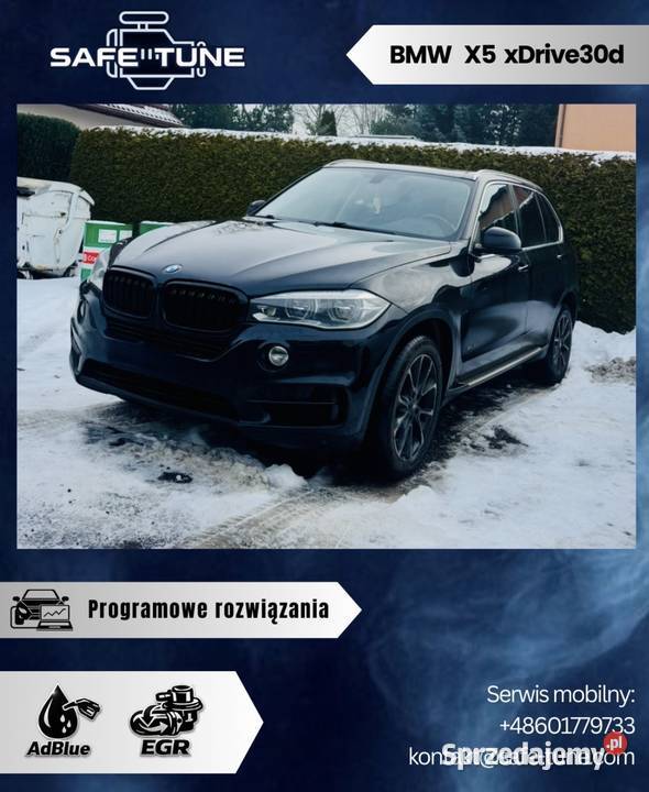 Programowe Usuwanie Wyłączanie SCRADBLUE DPF EGR sprzedam