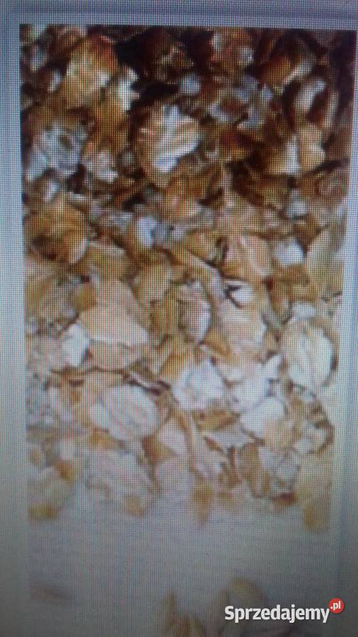 Zgniatacz walcowy SIPMA Wyprzedaż Opoczno