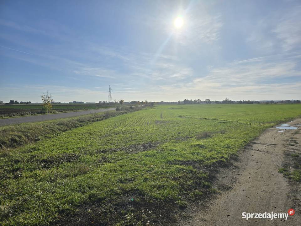 Działka budowlana Głogowa 68 000 Głogów