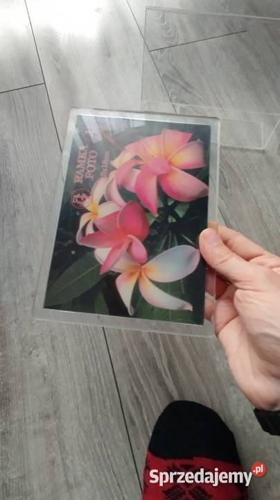 ramki kolejne komplet wielkopolskie Poznań