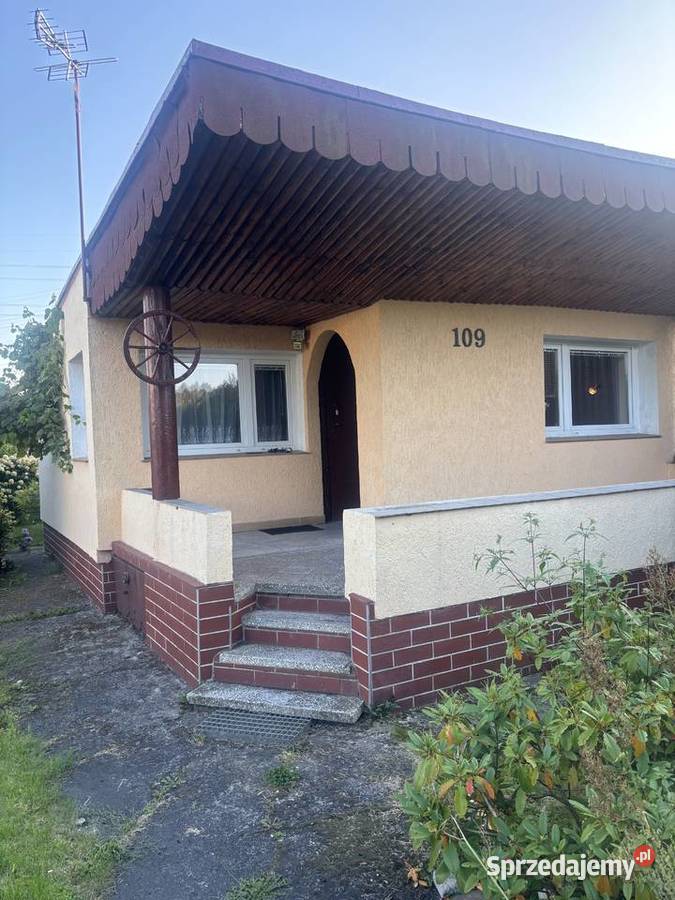 Piękna działka ROD w Lipnikach
